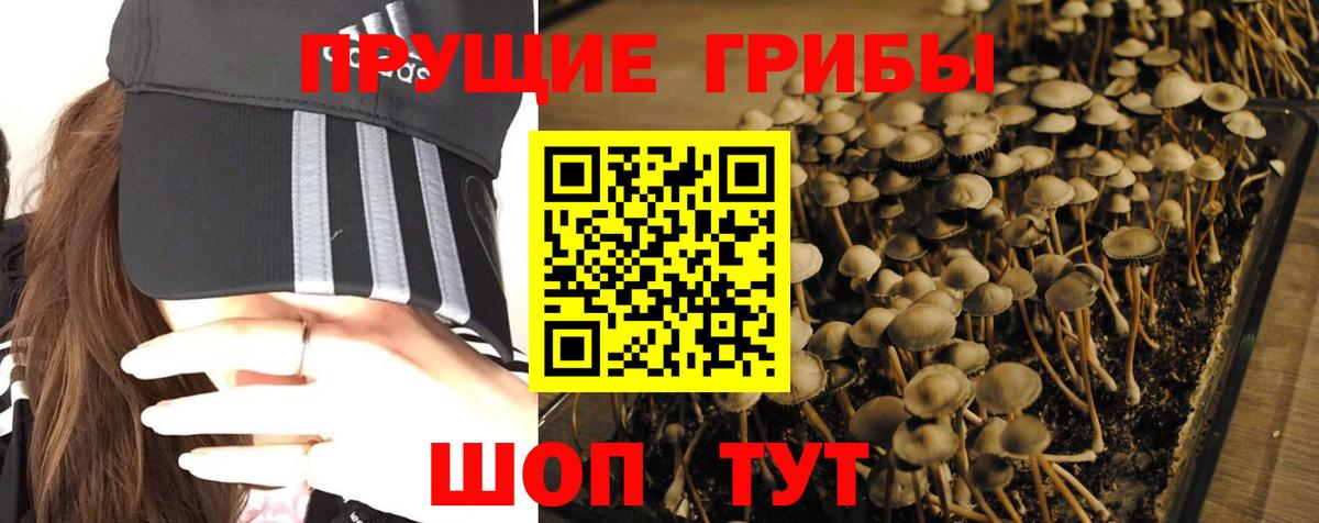 Псилоцибиновые грибы GOLDEN TEACHER Бугульма